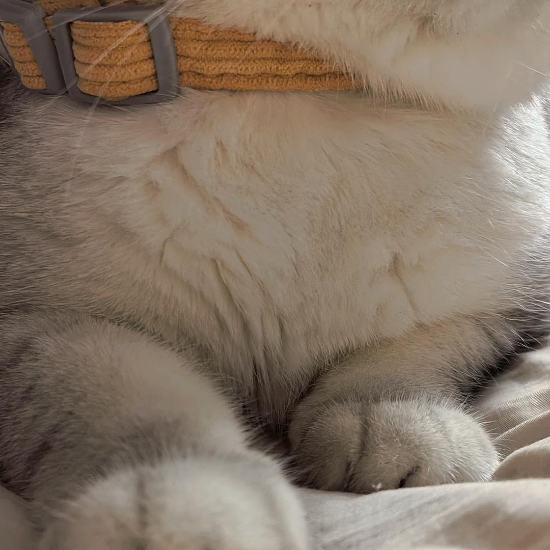 宇宙无敌最霸气