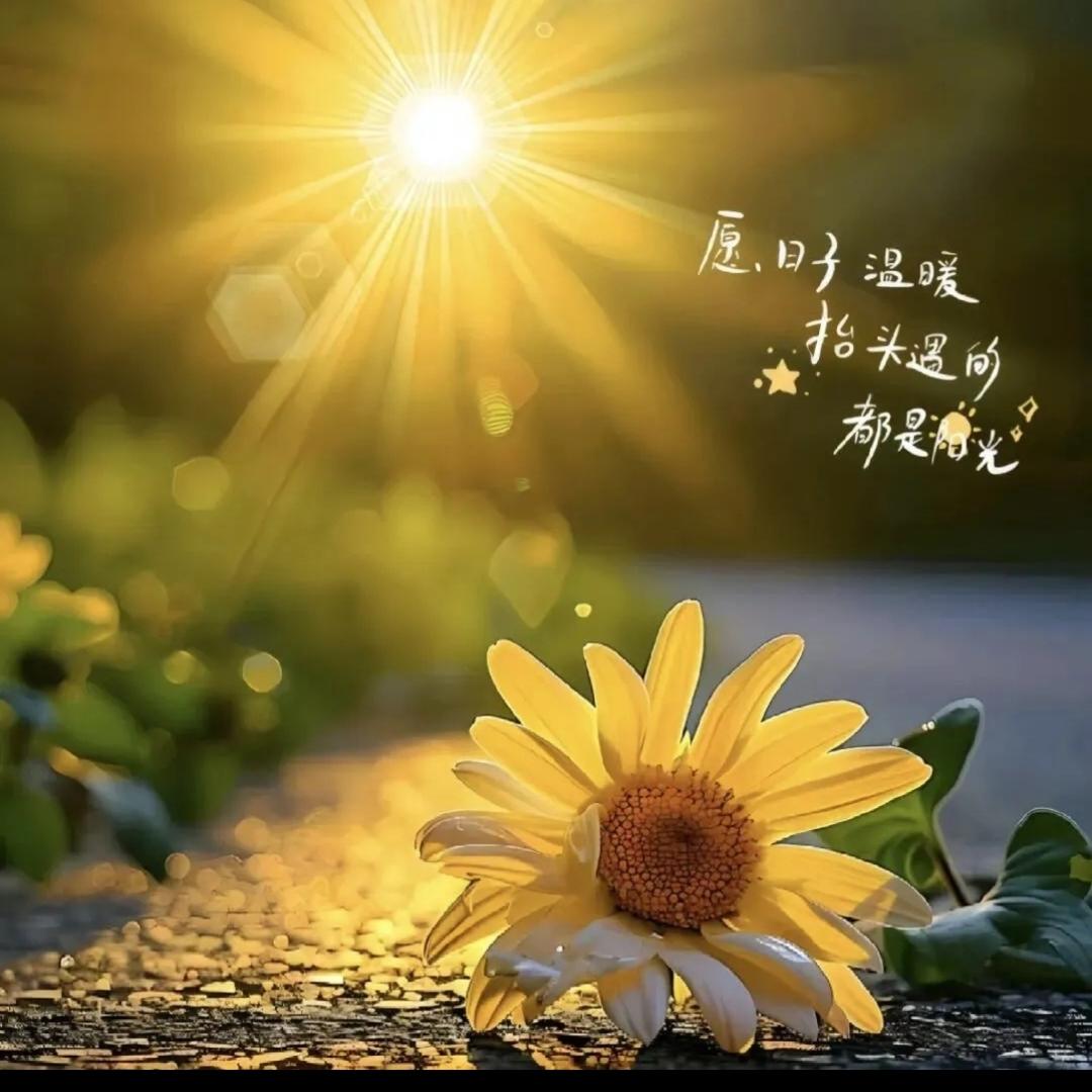 娘子军的头儿＼(^o^)／