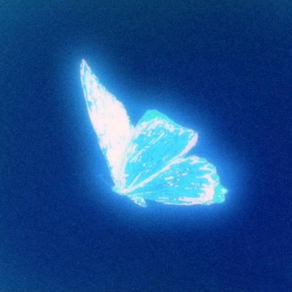 星回于天