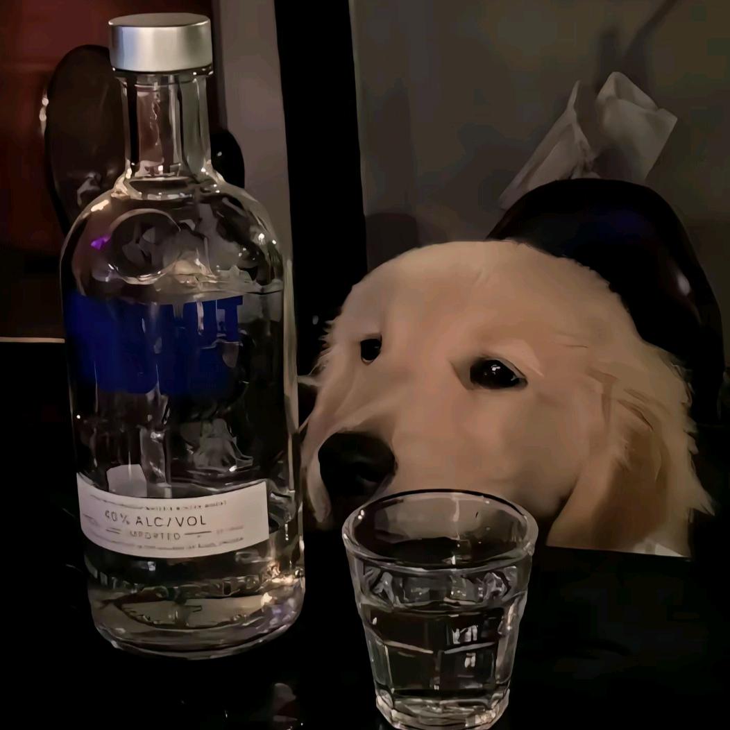 pdvwvbq