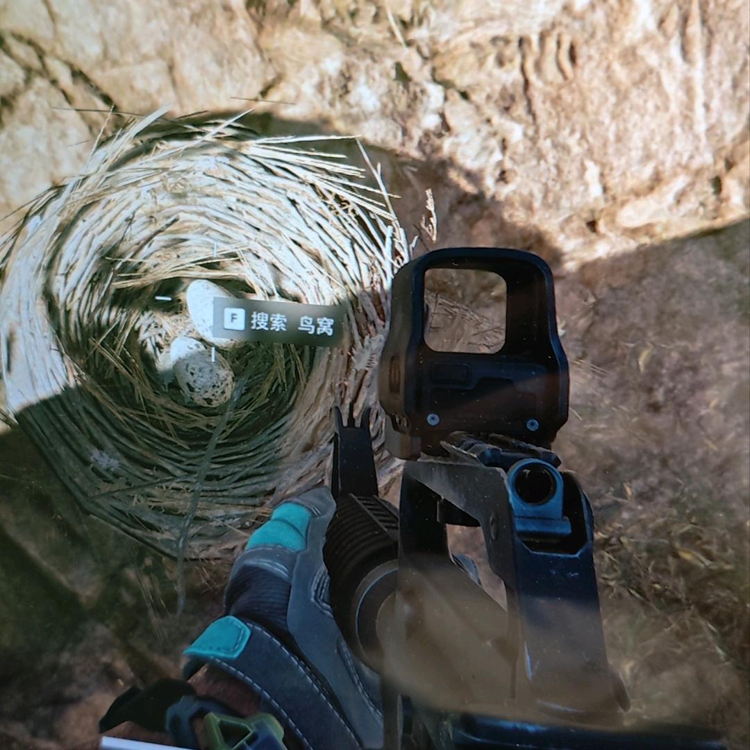 大叔下大坝（三角洲行动）