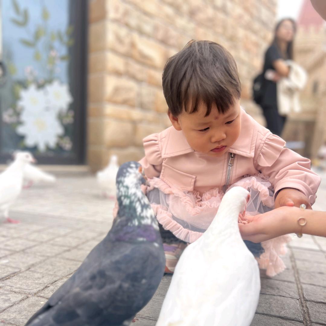 奋斗吧！！加油加油