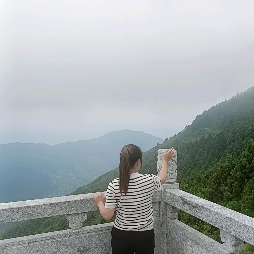 卖茶叶小燕子
