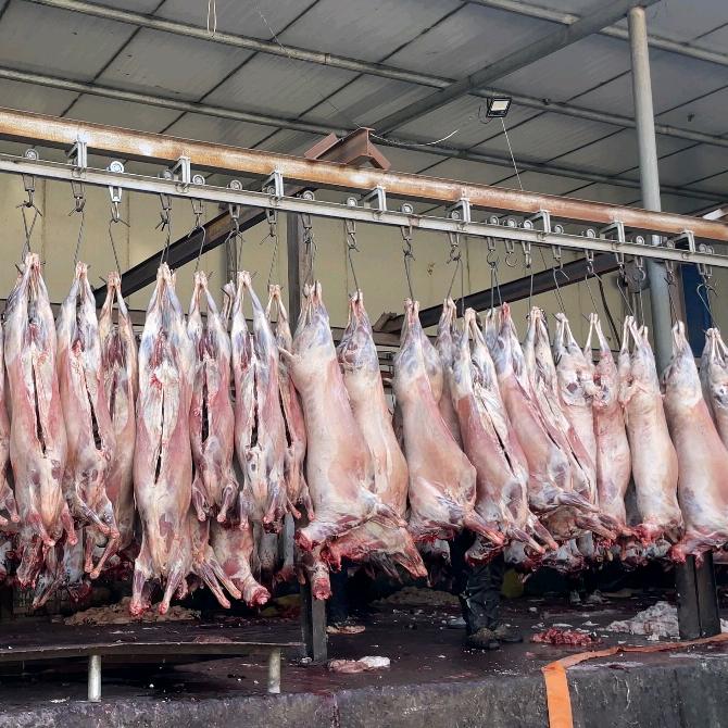 大西北哈凯清真牛羊肉