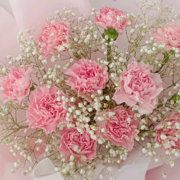 ꧁༺月清༒杨༻꧂