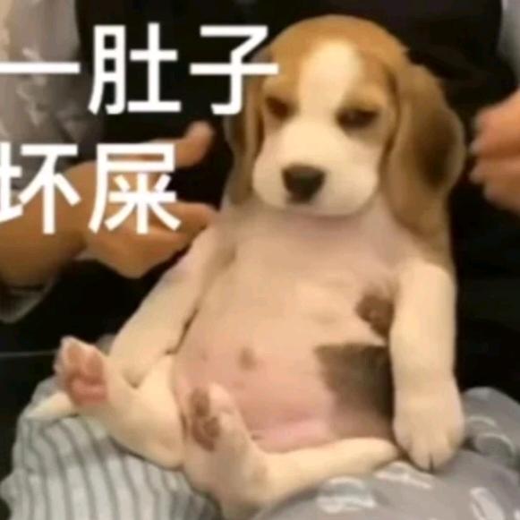 妧娅