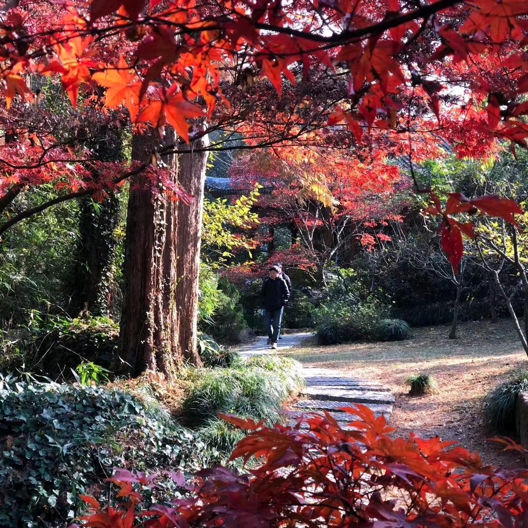 鸿运来