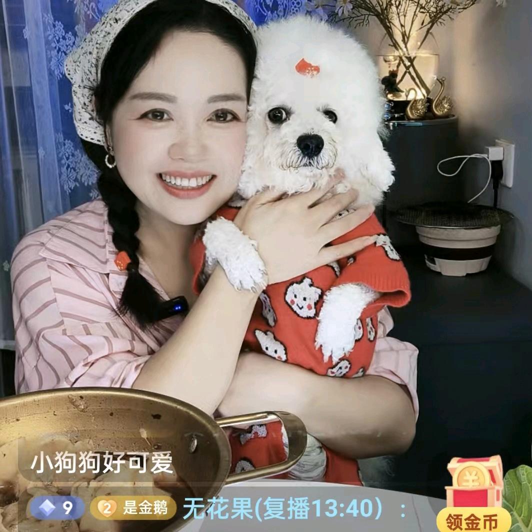 是金鹅