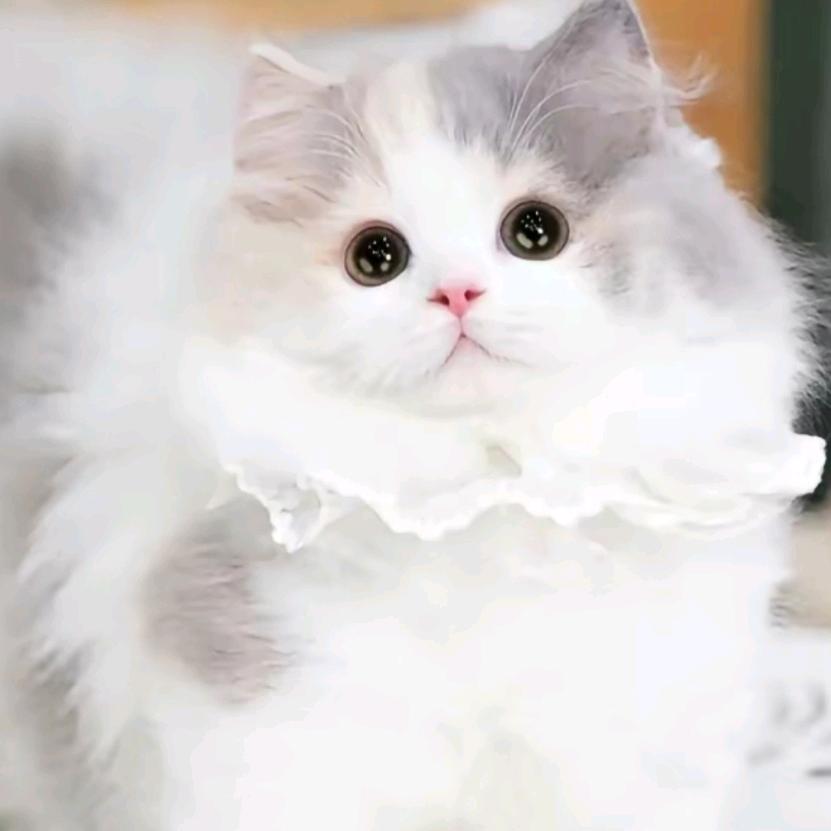 ꧔ꦿ᭄💞沵还卟懂涐꧔ꦿ᭄&💞