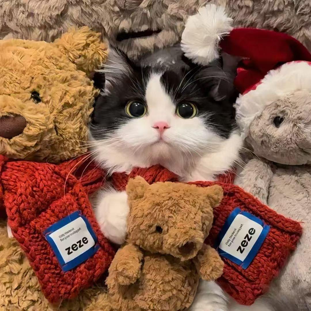 被打劫的加勒比海盗