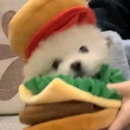 🍔咬一口吉士汉堡
