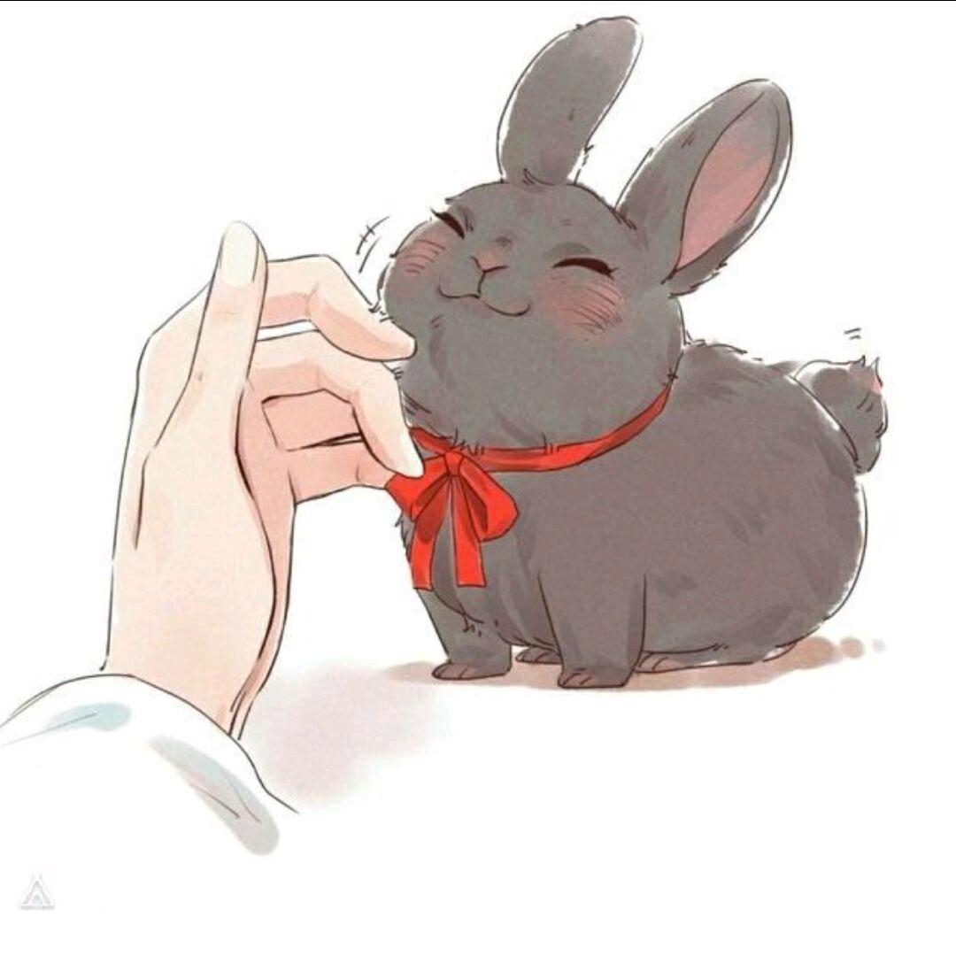 波波鱼的啵啵