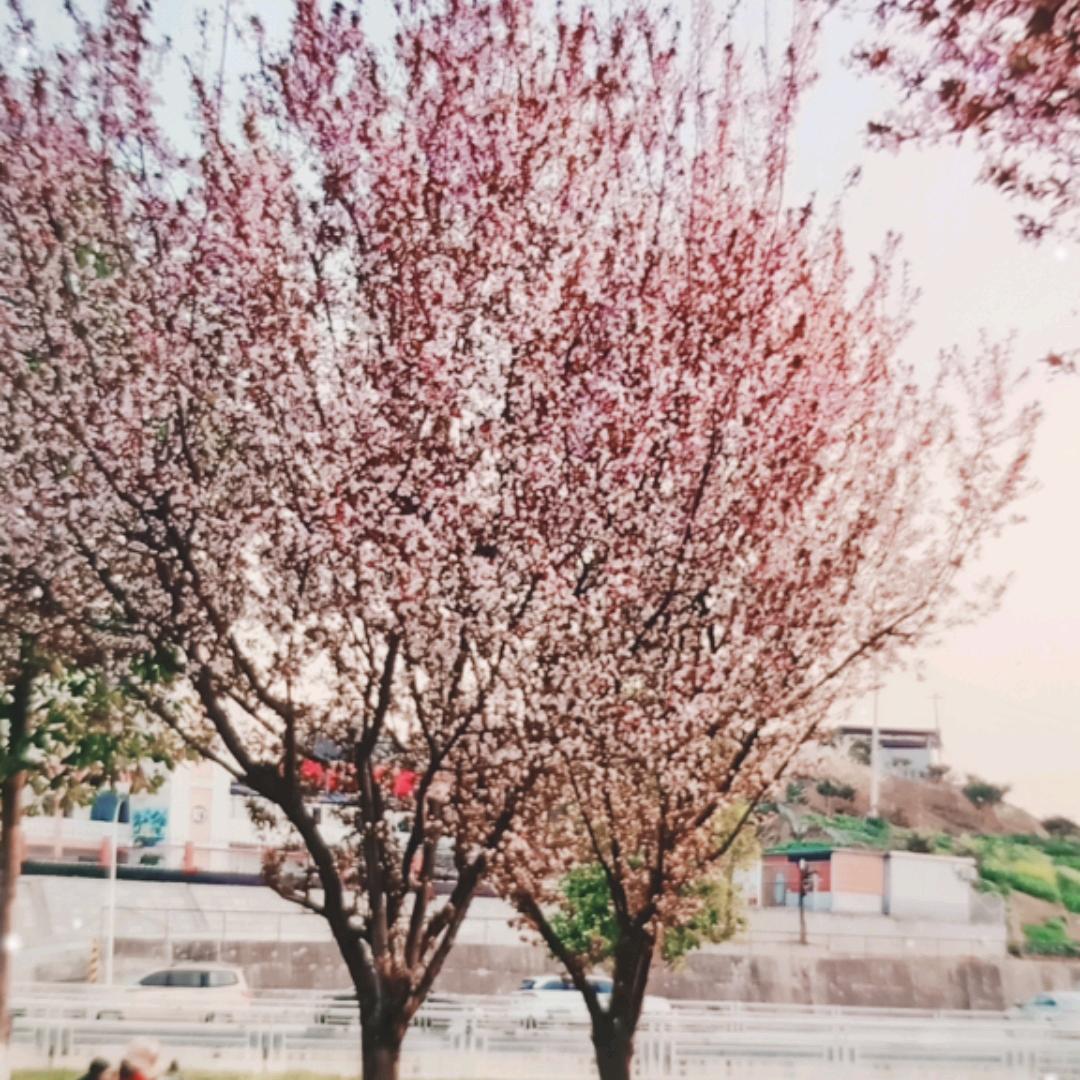 开开心心