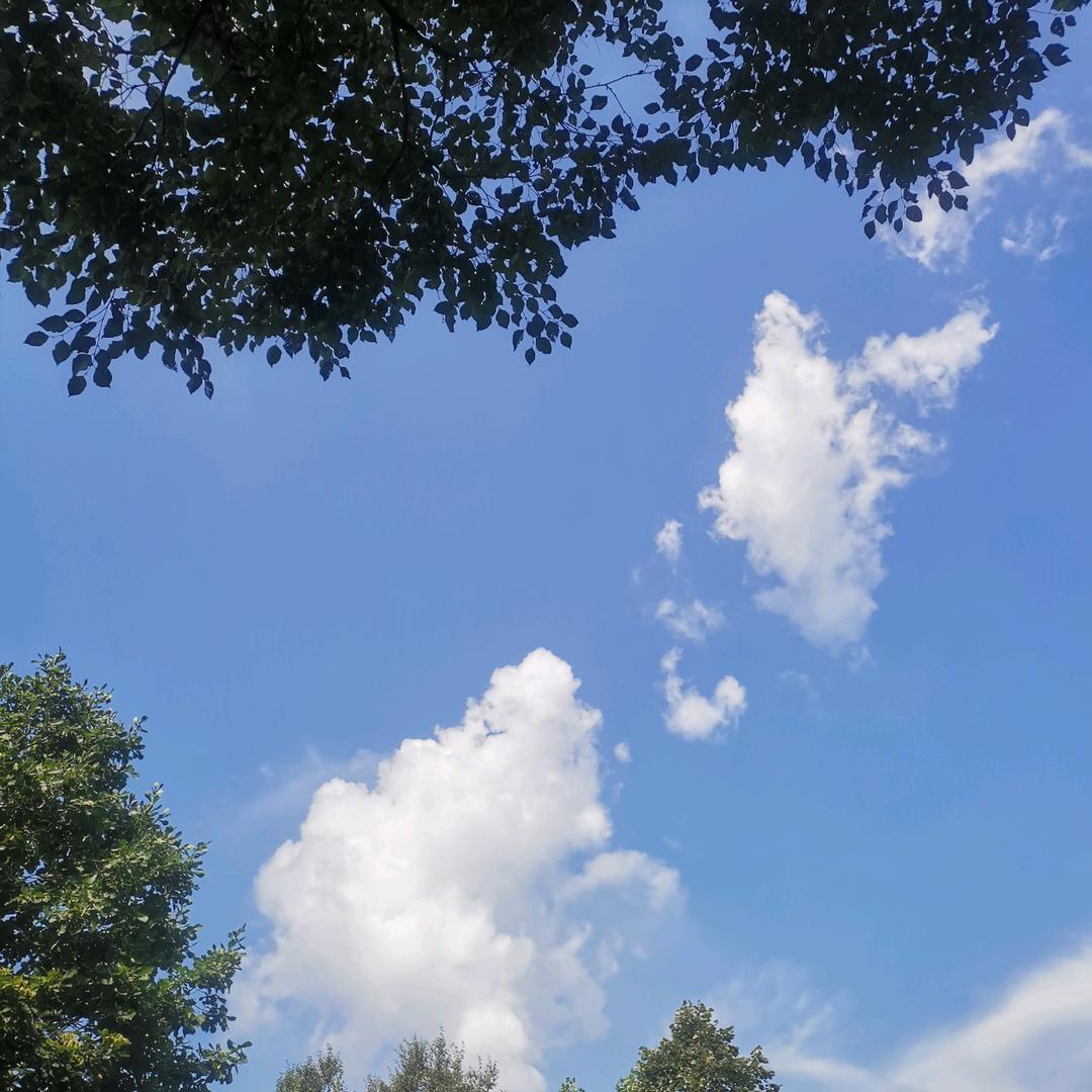 大王带你吃喝玩乐