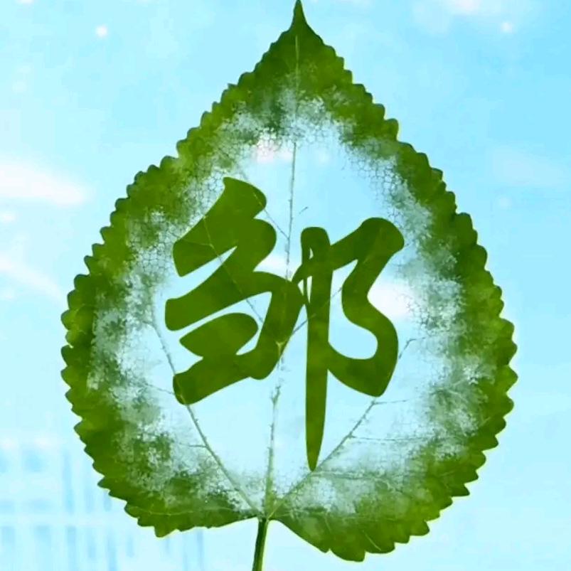 深情不及9伴