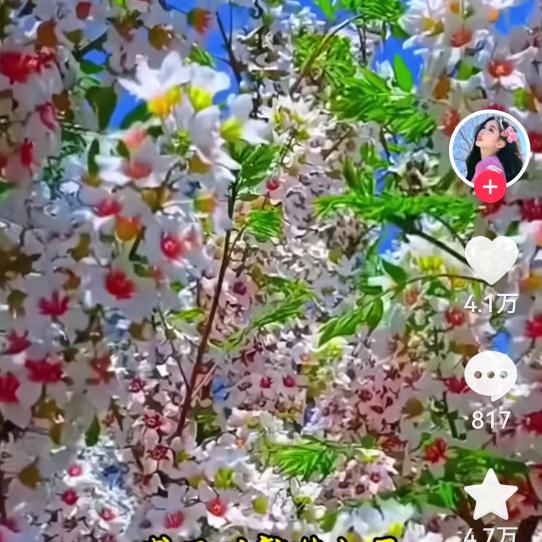 陆圩zhu哥