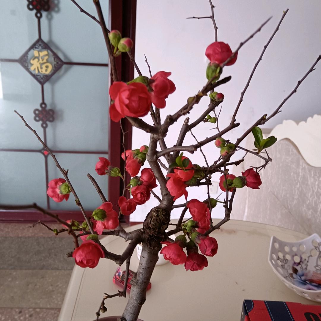 平安，快乐