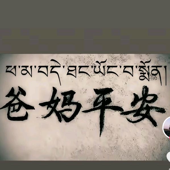 🐉命运🐉