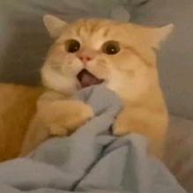 ^O^