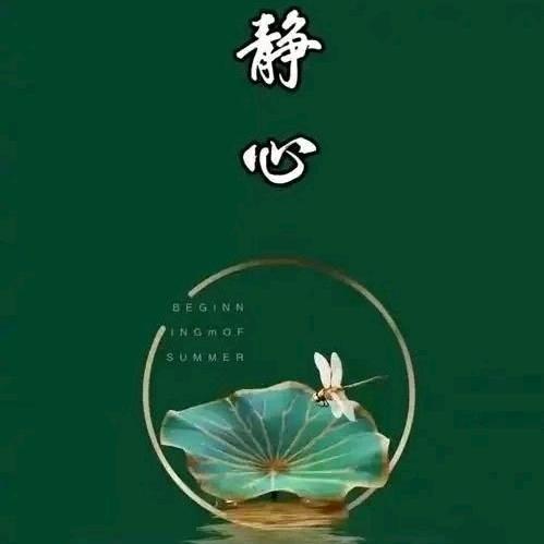 一张纸