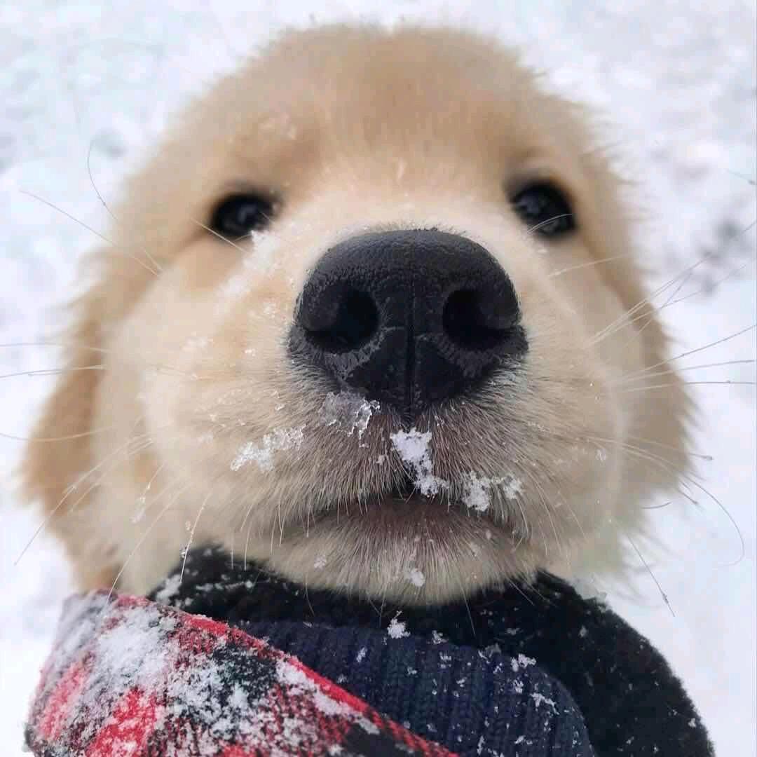 叫我帅哥就好了