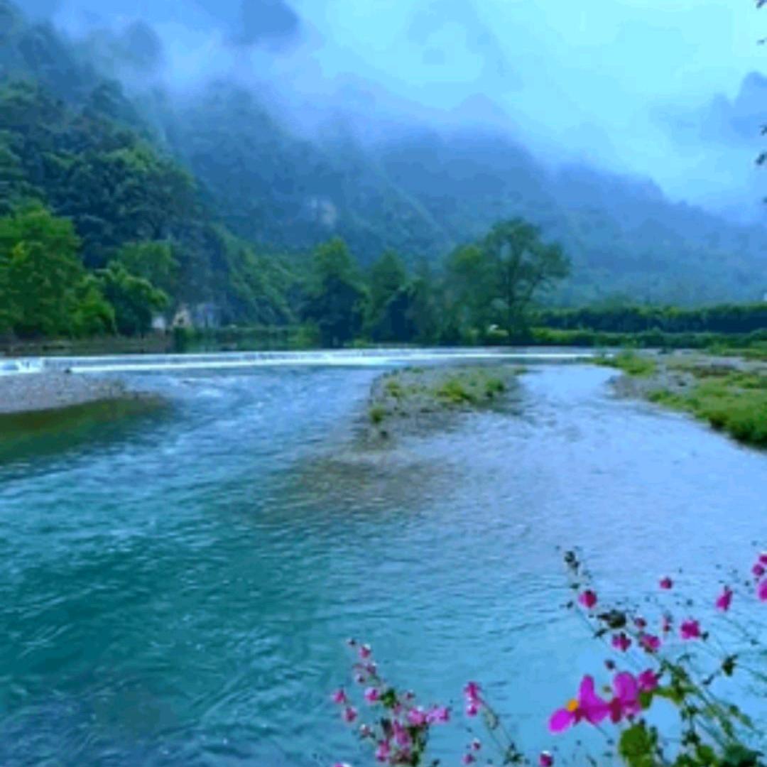 李哥在江湖