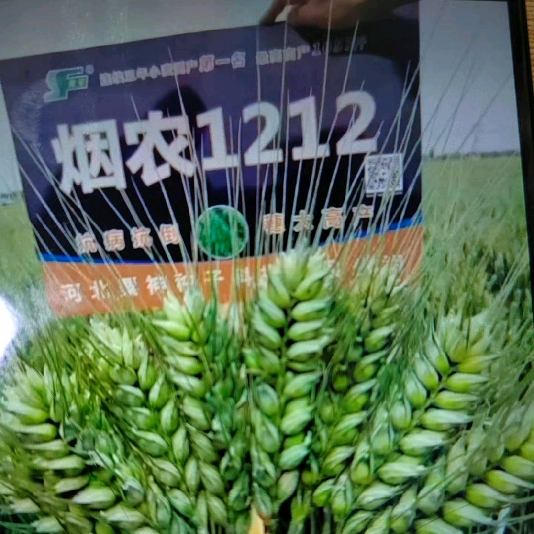 运海农业