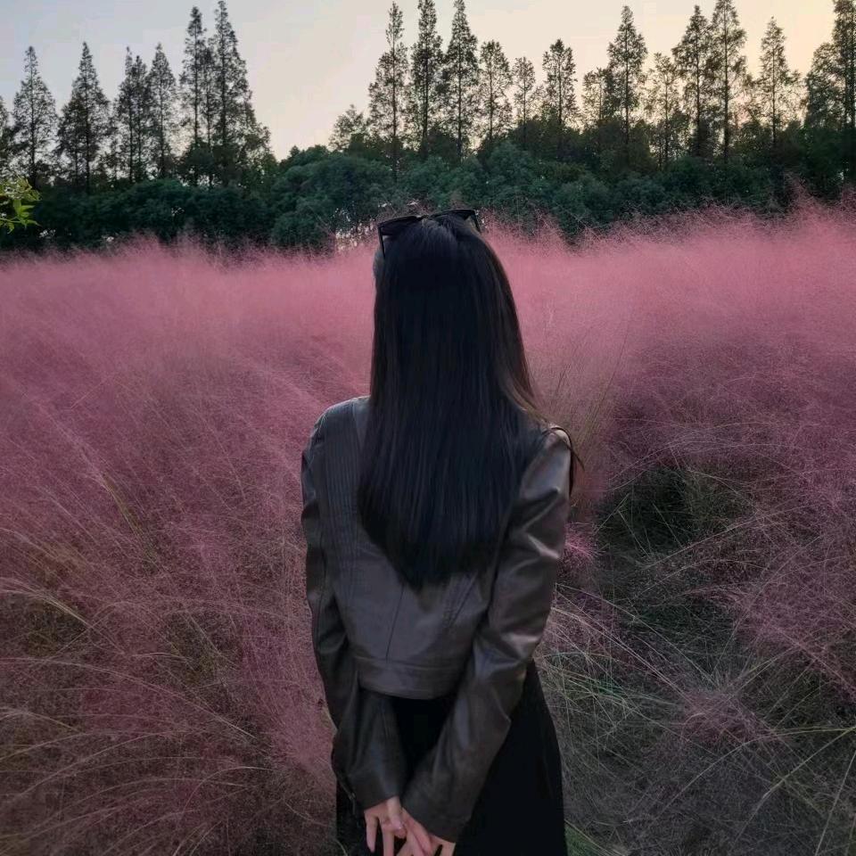 做梦💭