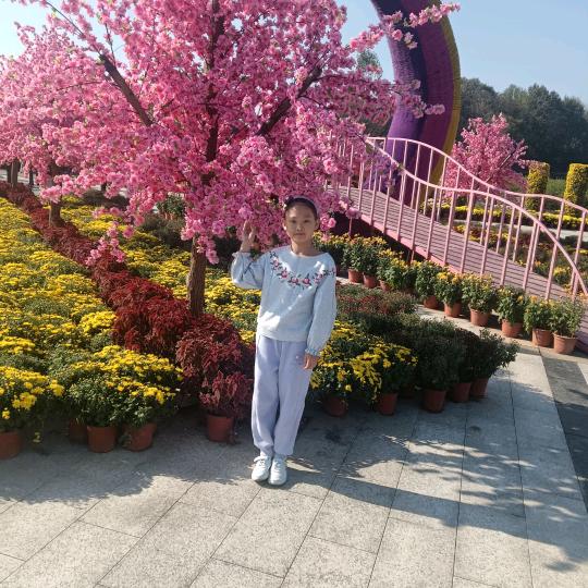 逸雪麻麻
