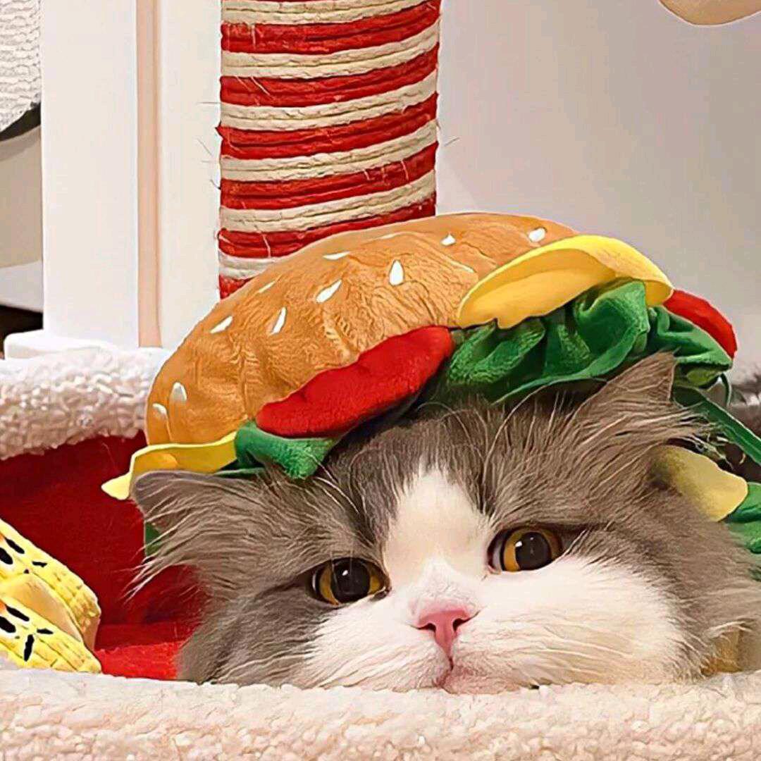🐱.