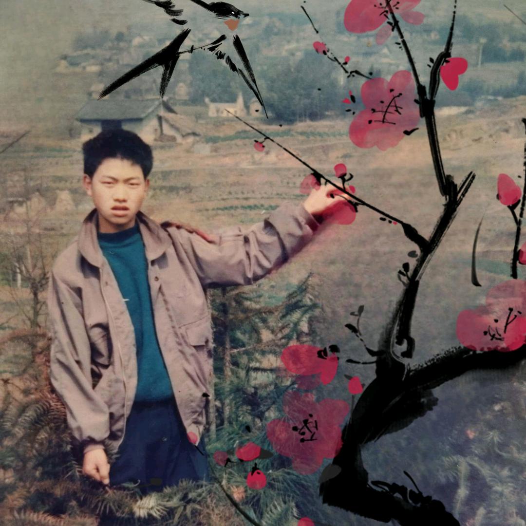 贵云福窗帘 烟花爆竹 纸火（周）