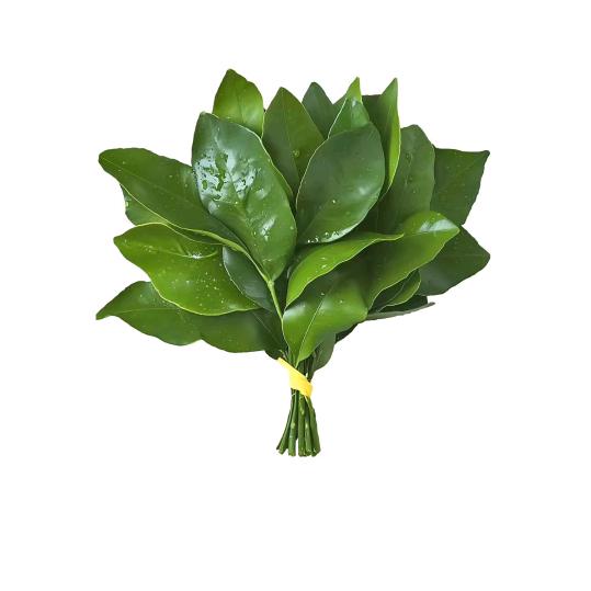 求暴富