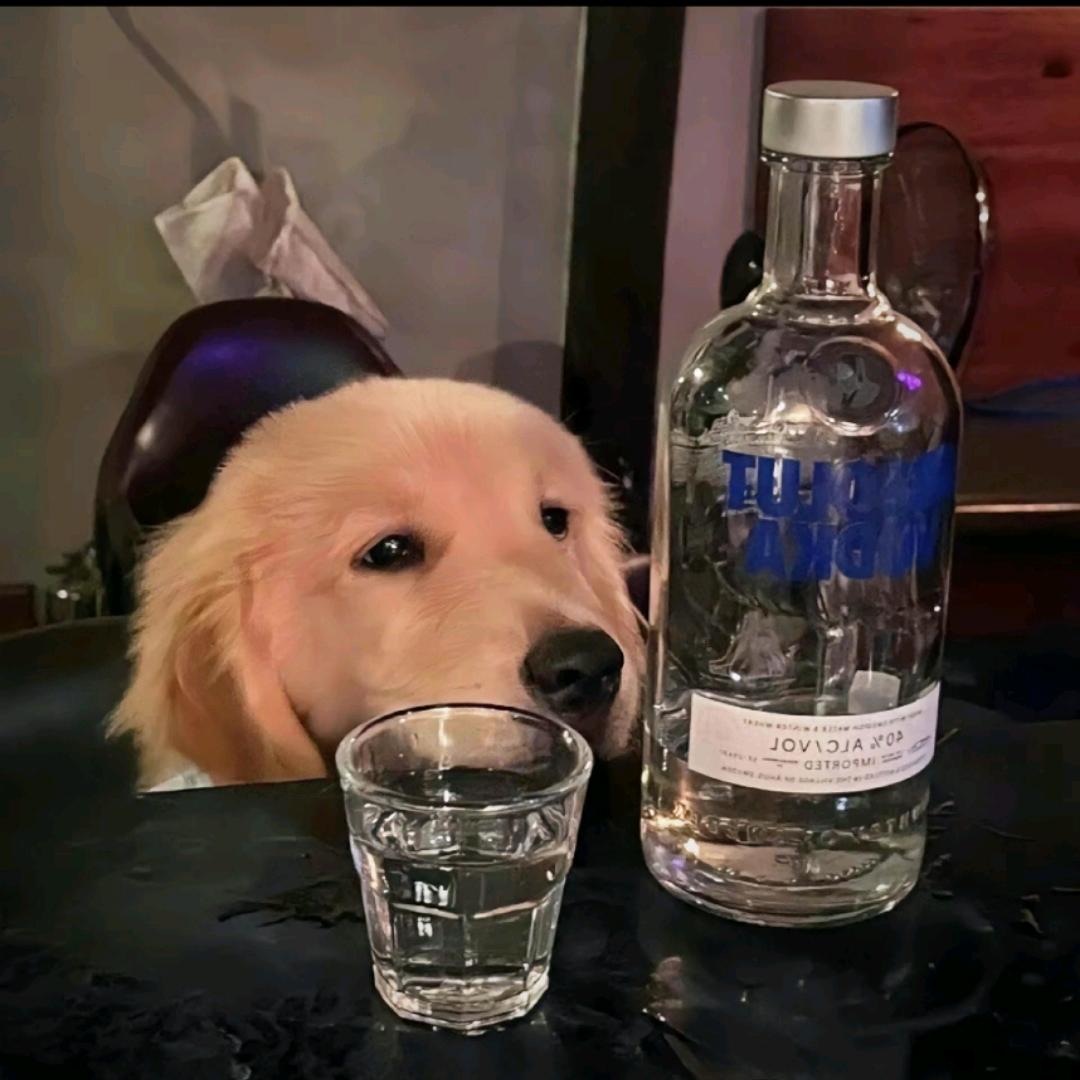 温柔🐟