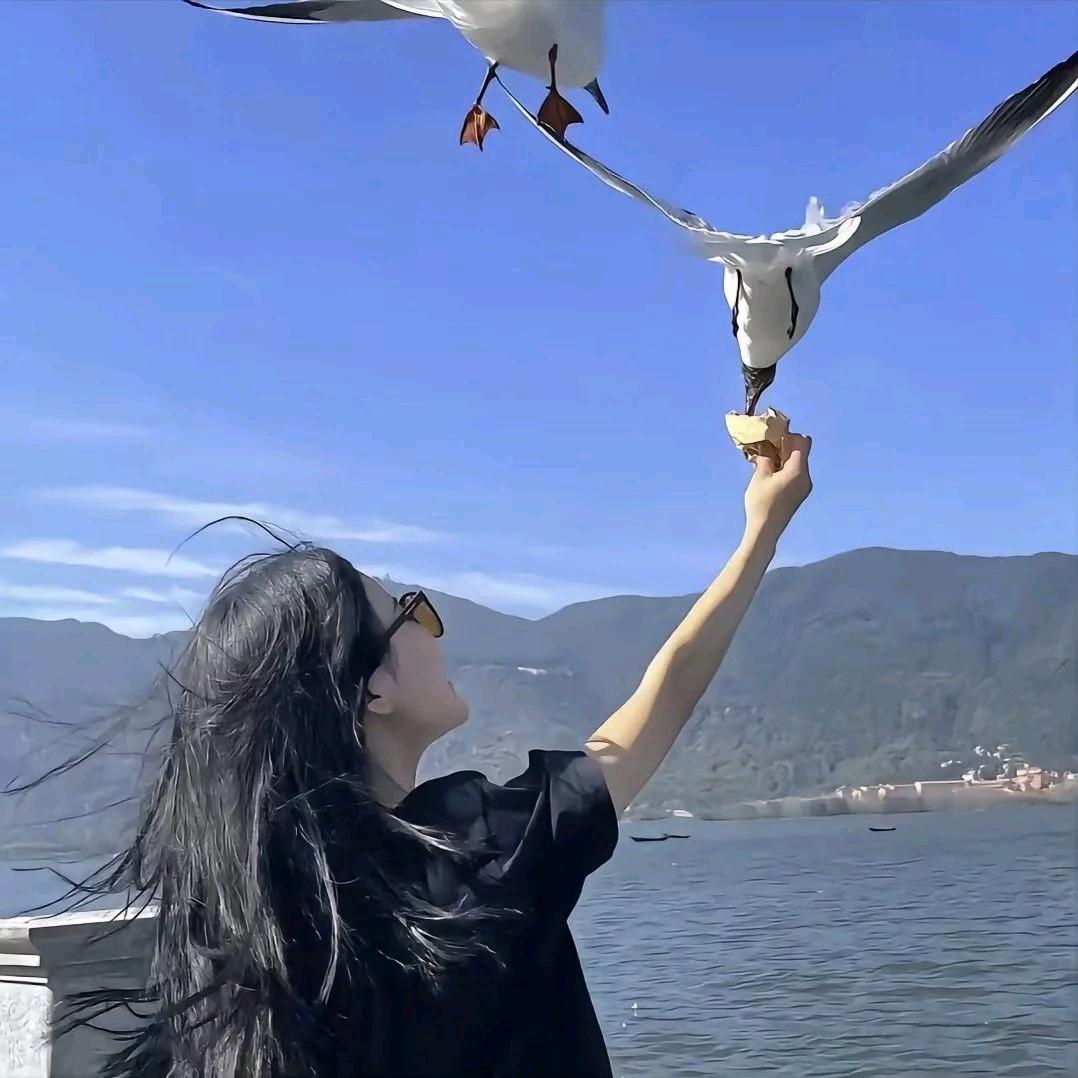艾米莉～