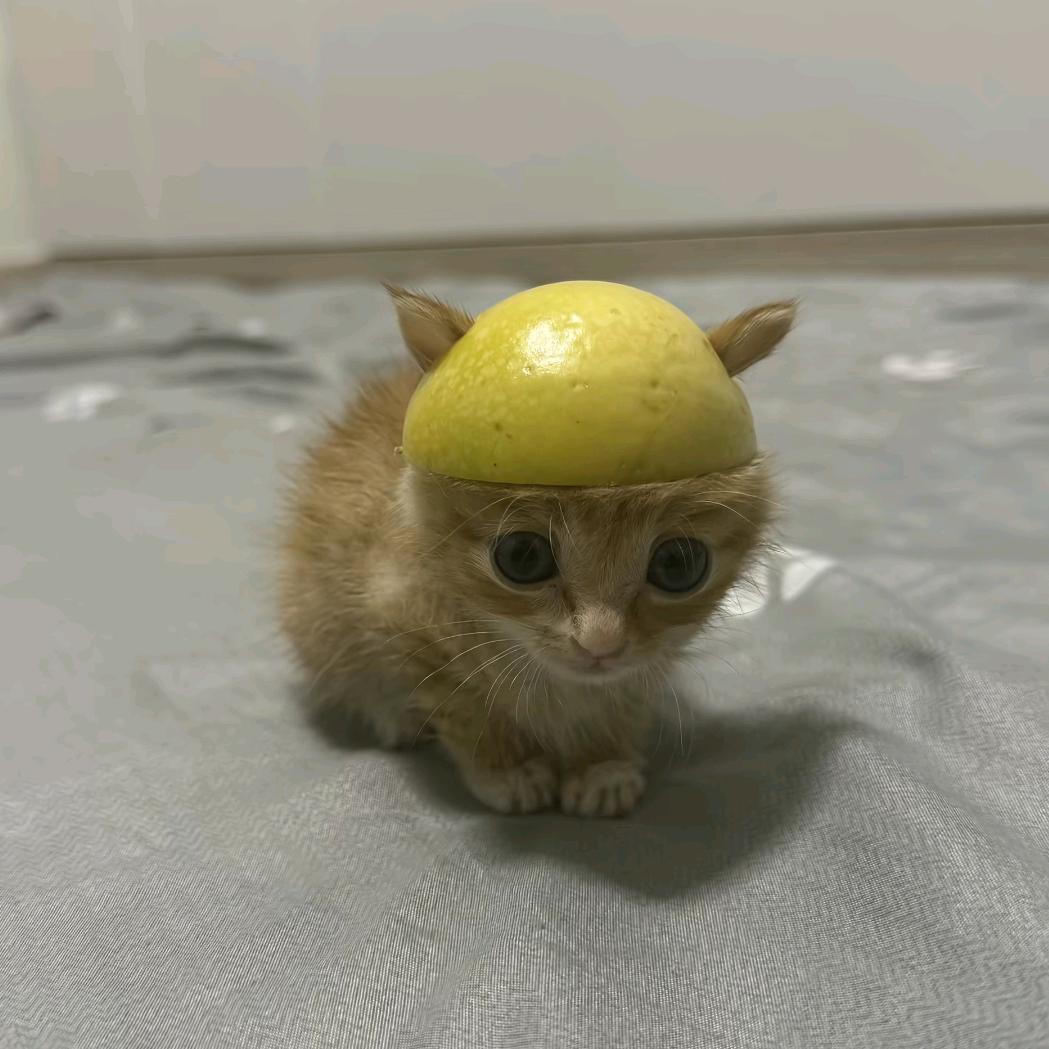 ᓙ