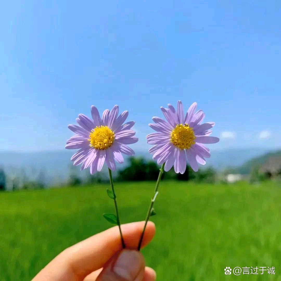 灵心舞魅
