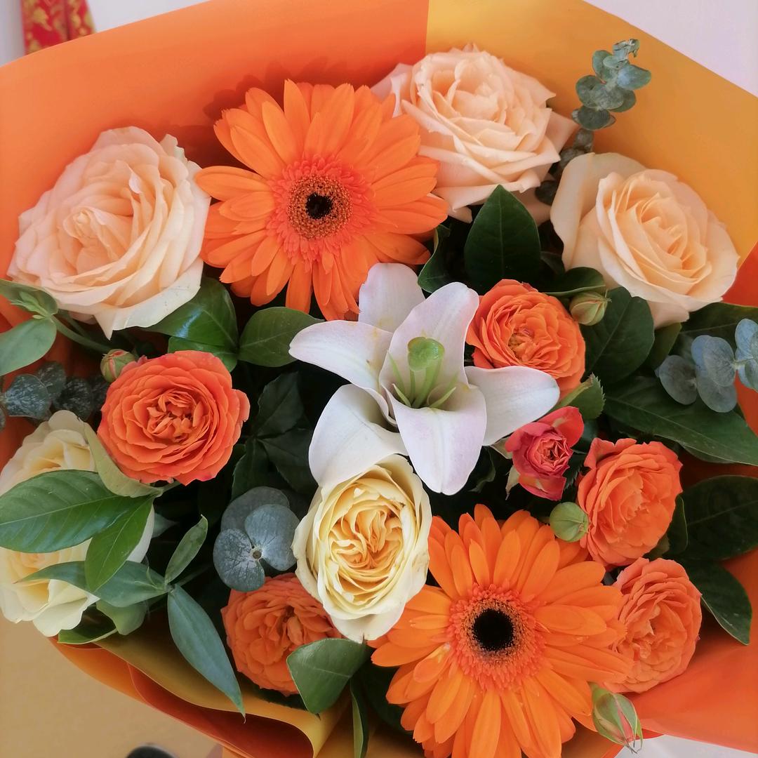 莆田星奥红旗售后服务