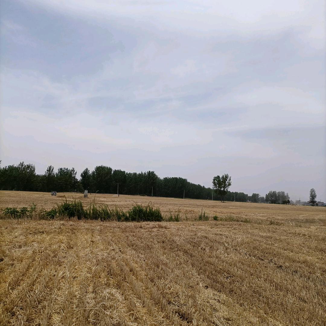 为了生活狠一点