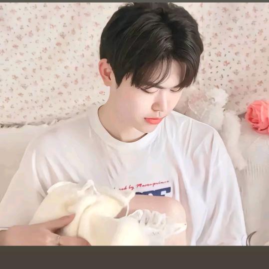 སེམས་💤ཀྱི་💤ལོ་མ་