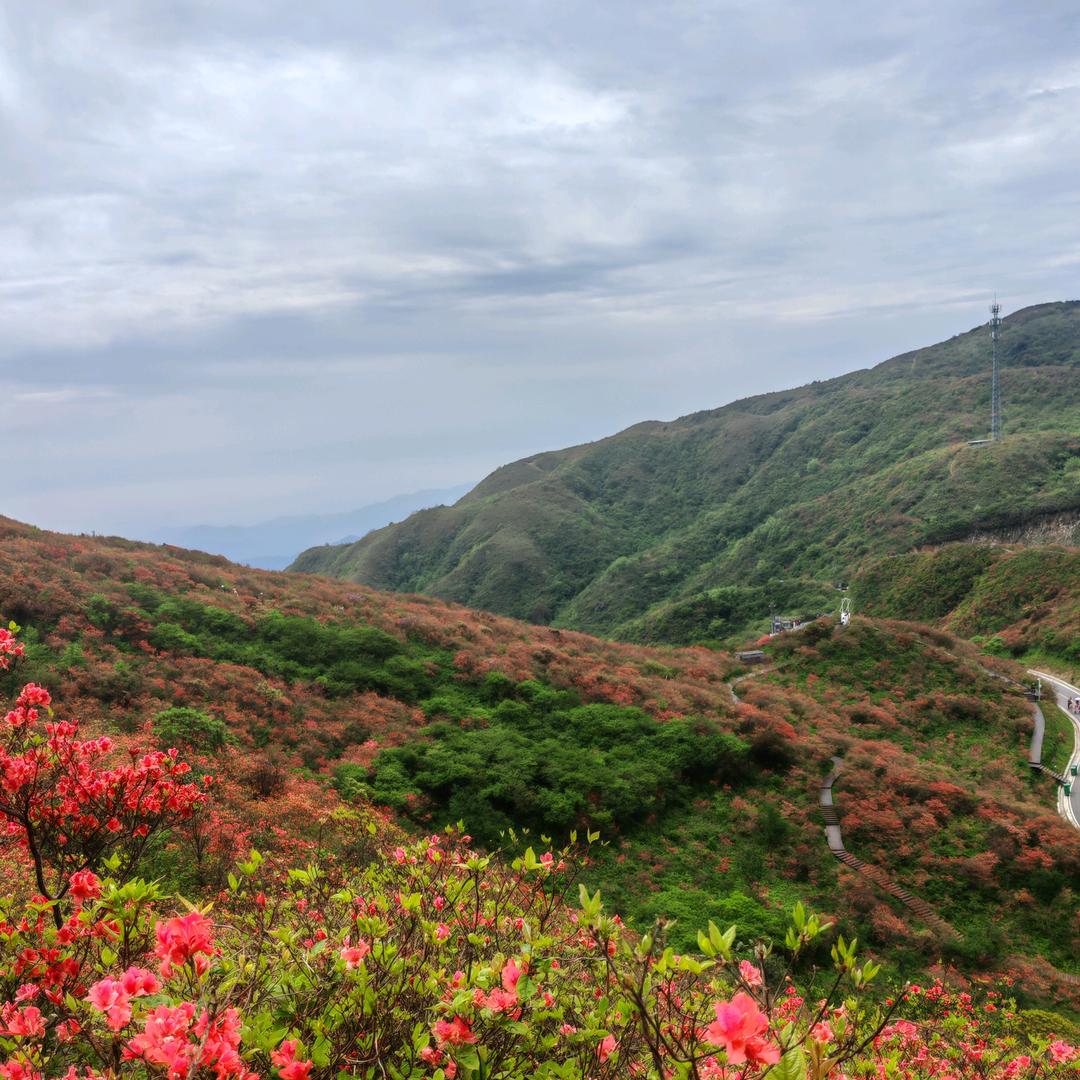 萍聚‘(拒绝私聊)