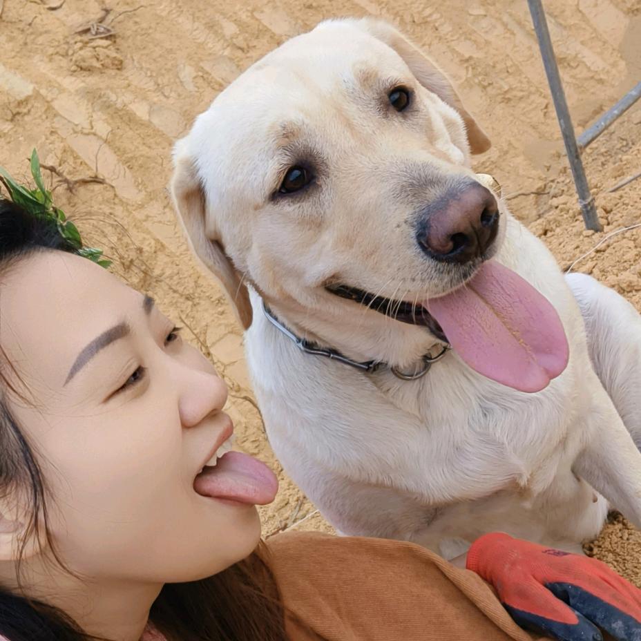 现代小龍女