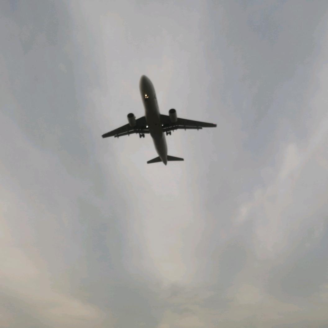 卧龙