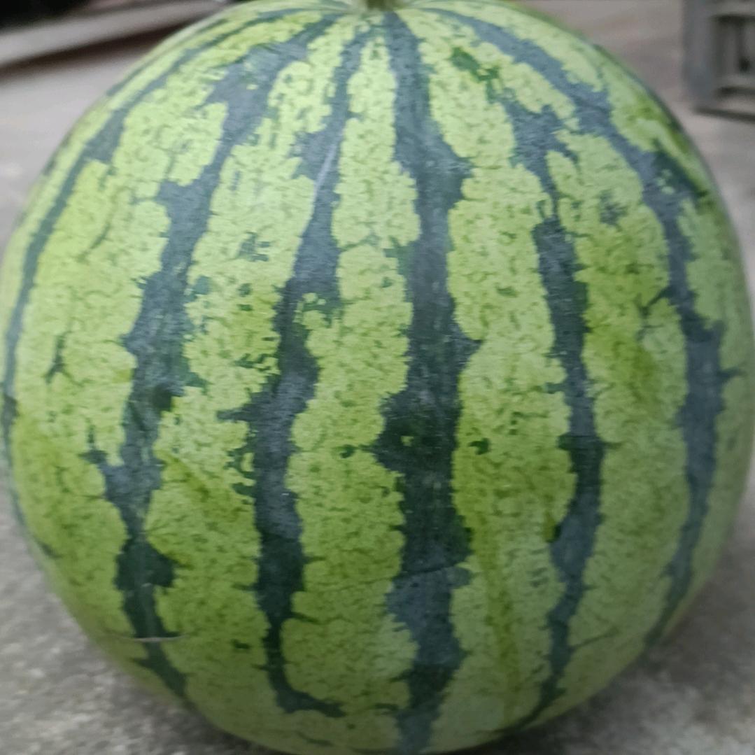 曾经的自己