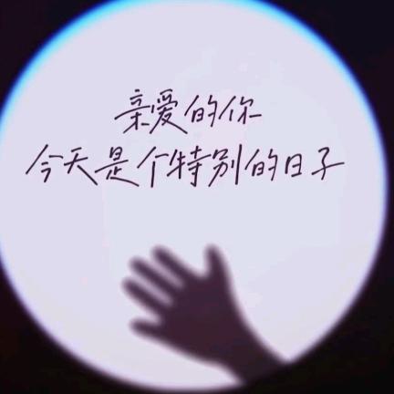 乌龟姐妹花宠物店