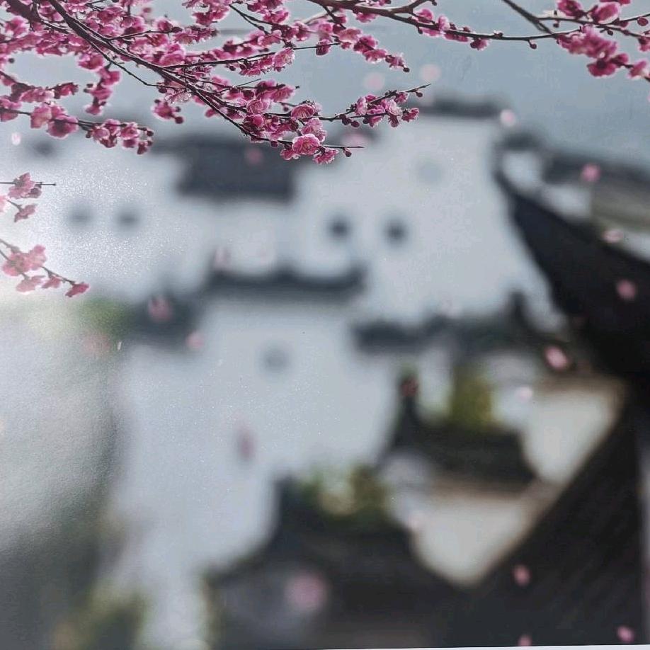 羽幻青虹(♬ 回关♛)