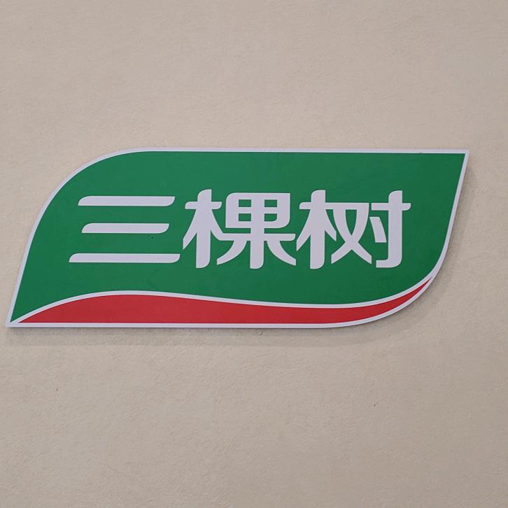 美涂工匠施工队《三棵树仿石漆》