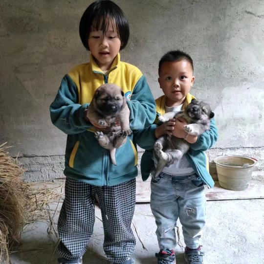 香烟和打火机
