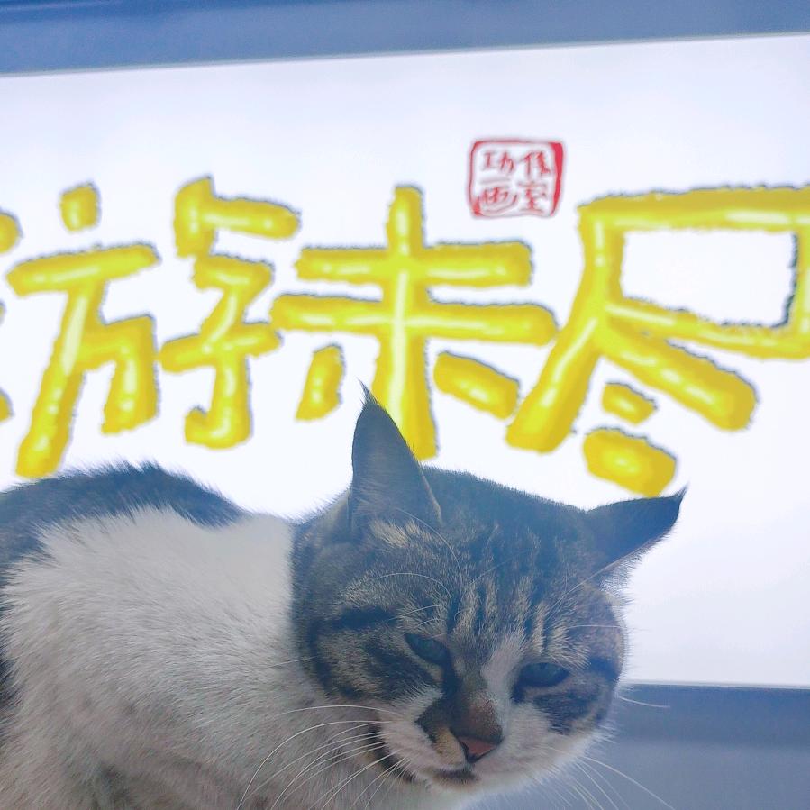 艺游未尽美育
