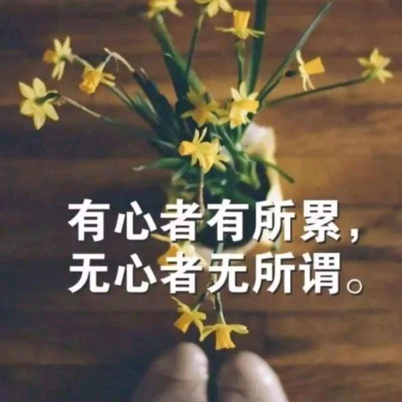 云阶拾金