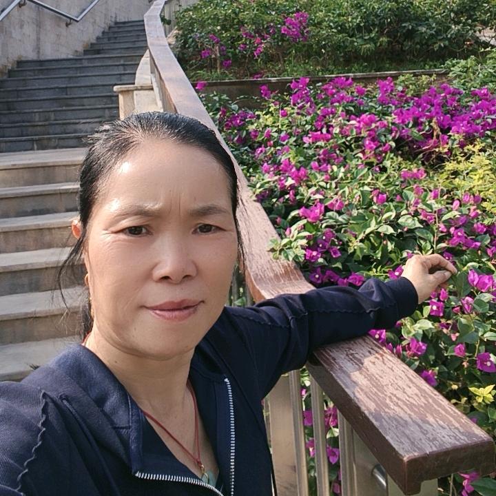 暖暖